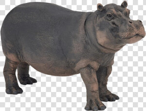 Hippopotamus Png Image   Papo Hippopotamus Toy  Transparent Png