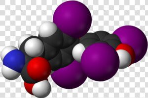 Pfizer S Levoxyl Drug Will Be Back On The Shelves Following   Hormona Png  Transparent Png