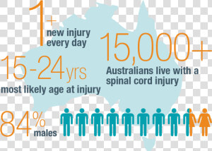 Statistics For Spinal Cord Injuries In Australia  HD Png Download