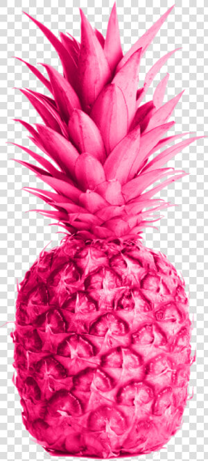 Transparent Pink Pineapple Png   Maui Sun Salt Nic  Png Download