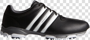 Shoe athletic Shoe outdoor Shoe walking Shoe sneakers soccer   Adidas Golf Shoe Png  Transparent Png