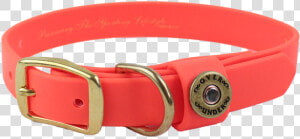 Water Dog Collar Blaze Orange   Buckle  HD Png Download