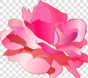 Pink Rose Svg Clip Arts   Flowers Rose Clipart Pink Png  Transparent Png