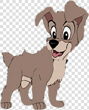 Tramp As A Perrito  Cachorro   Disney Tramp As A Pup  HD Png Download