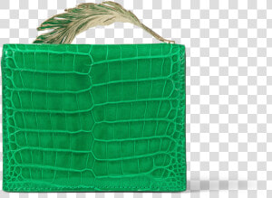 Emerald Lisse Alligator With Light Gold Feather Data   Birkin Bag  HD Png Download