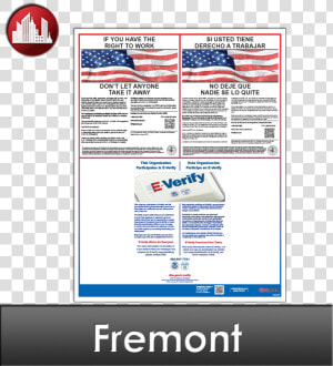 E Verify Poster 2019  HD Png Download