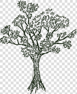 Hill Tree Png Black And White   Lost Hill Lake Events  Transparent Png