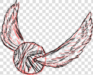 Golden Snitch Drawing   Clip Art Golden Snitch  HD Png Download