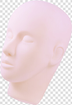 Mannequin Head Png   Bust  Transparent Png