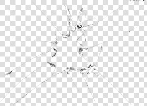 Shattering Glass Png   Insect  Transparent Png