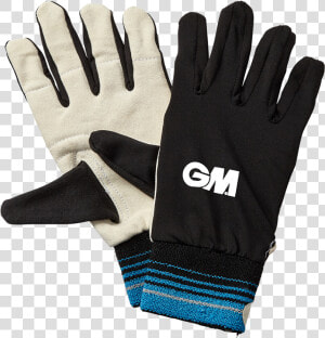 Wicket Keeping Gm Gloves  HD Png Download