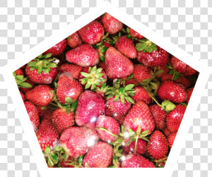 Fresa Sticker   Strawberry   Strawberry  HD Png Download