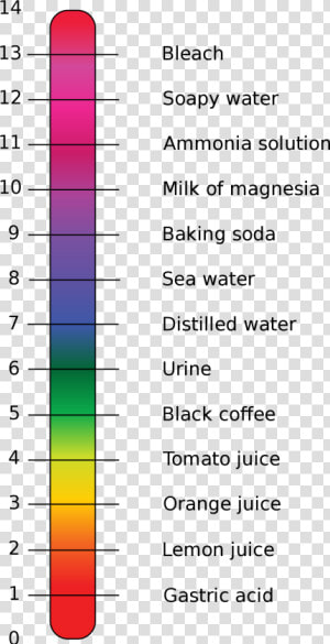 Calcium Carbonate On Ph Scale  HD Png Download