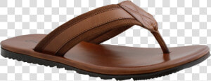 Leather Sandals Png Image   Leather Sandals Png  Transparent Png