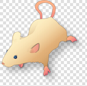 Vectorized Lab Mouse Mg 3263 For Scientific Figures   Scientific Mouse  HD Png Download