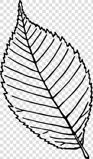 Rose Leaf Black And White   Png Download   Simple Rose Leaf Drawing  Transparent Png