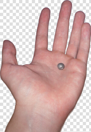 Beryllium Held In Hand   Open Hand Png  Transparent Png