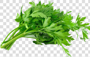 Parsley Leaves  HD Png Download