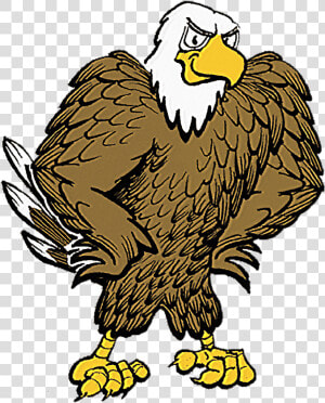 Elverta Elementary School Welcomes You   Cartoon Eagle Public Domain  HD Png Download