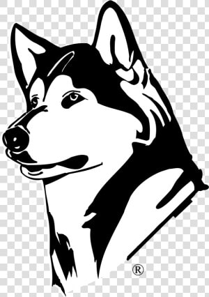 Husky Png   Washington Huskies  Transparent Png