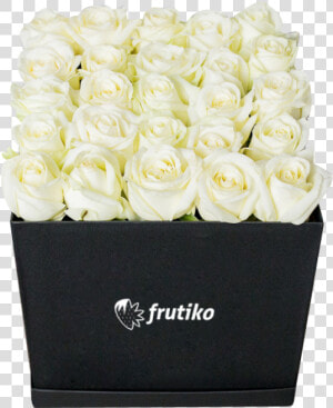 Black Box Of White Roses   Garden Roses  HD Png Download