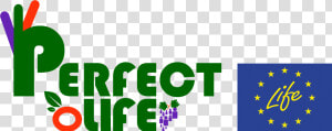 Perfect Life   Life  HD Png Download