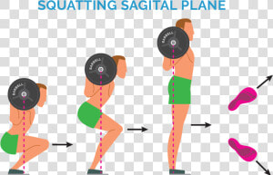 Olympic Weightlifting For Rehabilitation  HD Png Download