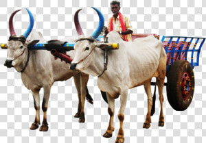 Bullock Cart Image Png  Transparent Png