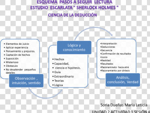 4 Pasos De La Lectura De Estudio  HD Png Download