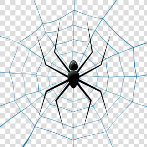 Spider Web Theridiidae Euclidean Vector Illustration   Fondo Azul Con Telaraña  HD Png Download