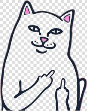 Middle Finger Cat With Free Transparent Clipart Images   Rip And Dip Stickers  HD Png Download