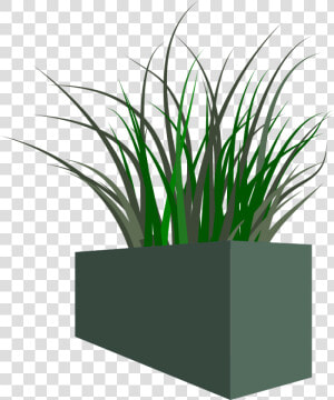 Grass In Square Planter   Transparent Png Flower Box  Png Download