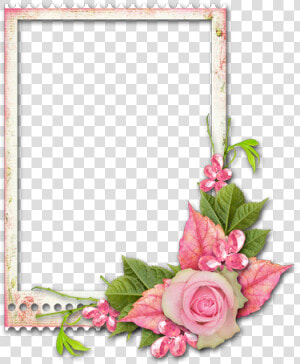 Cadre Avec Fleurs   Cadres Fleur Transparent  HD Png Download