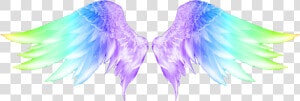  wings  colorful  colorfulwings  angelwings  carnaval   Angel Wings Png Hd  Transparent Png