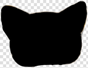 Black clip Art black And White   Lps Cat Png Black  Transparent Png