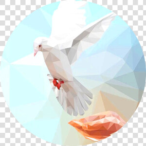 Pigeons And Doves  HD Png Download