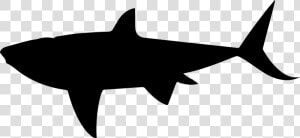 Shark Shape   Animal Silhouettes Shark  HD Png Download