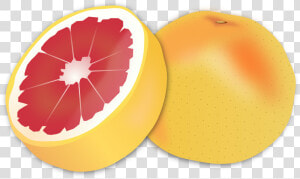 Grapefruit Clipart  HD Png Download