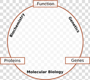 Molecular Biology  HD Png Download