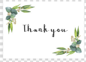 Eucalyptus Thank You Cards Printable   Portable Network Graphics  HD Png Download