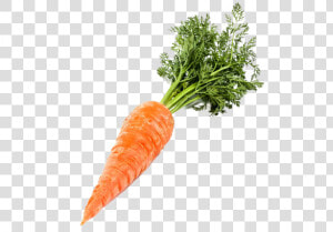 Single Carrot Png Image   Transparent Background Carrot Png  Png Download