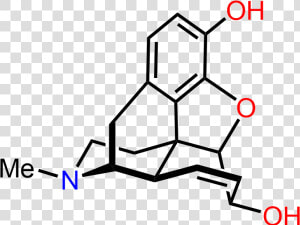 Morphine Chemical Structure In 3d   Morphine Structure  HD Png Download