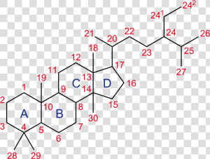 Anabolic Steroid Structure  HD Png Download