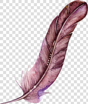 Dark Red Feather Cartoon Watercolor Beautiful Transparent   Watercolor Transparent Feather  HD Png Download