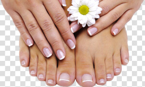 Transparent Pedicure Png  Png Download