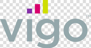 Vigo Software   Vigo Software Logo  HD Png Download