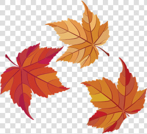  ftestickers  fall  autumn  leaf  leaves  freetoedit   Maple Leaf  HD Png Download