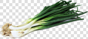 Onion Clipart Onion Slice   Green Onion Png  Transparent Png