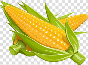 Maize Royalty free Illustration   Corn Cartoon Png  Transparent Png