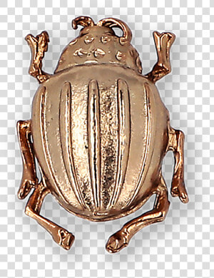 Beetle Gold plated Brooch Ss19 Collection  Pal Zileri   Dung Beetle  HD Png Download